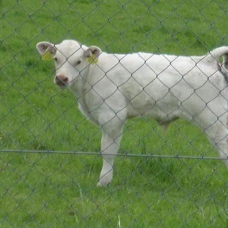 Séjour à la ferme The Arches Farmhouse *