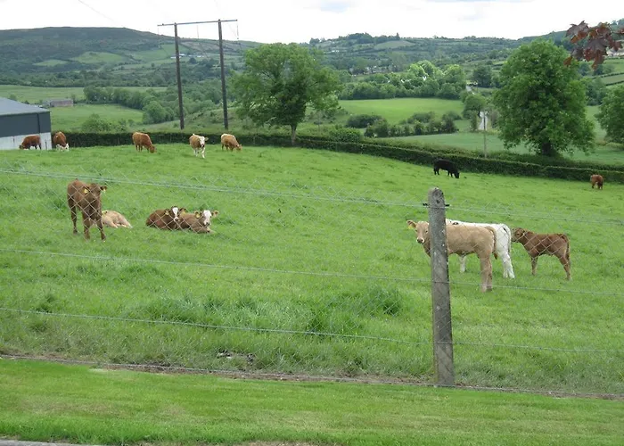 Farm stay The Arches *