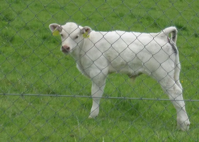 Séjour à la ferme The Arches Farmhouse *